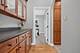 13701 Oak Tree, Lemont, IL 60439