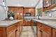 13701 Oak Tree, Lemont, IL 60439