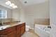 170 N Marion Unit 14, Oak Park, IL 60302
