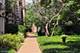 170 N Marion Unit 14, Oak Park, IL 60302