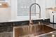 224 W St Paul Unit 1, Chicago, IL 60614