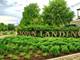 1640 Daviess, Lockport, IL 60441