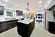 20531 N Meadow, Deer Park, IL 60010