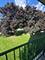 581 Burlington Unit 8, Clarendon Hills, IL 60514
