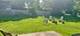 1612 Forrest, St. Charles, IL 60174