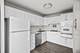 400 E Randolph Unit 1217, Chicago, IL 60601