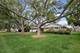 6250 W 127th, Palos Heights, IL 60463