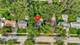 946 Harvard, Matteson, IL 60443