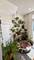 2631 W Superior Unit 1, Chicago, IL 60612