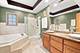 521 S Lincoln, Park Ridge, IL 60068