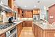 521 S Lincoln, Park Ridge, IL 60068