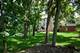 406 Elderberry, Streamwood, IL 60107