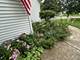 351 Whitewater, Oswego, IL 60543
