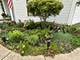 351 Whitewater, Oswego, IL 60543