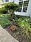 351 Whitewater, Oswego, IL 60543