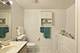 891 Central Unit 219, Highland Park, IL 60035