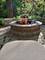 501 Glenwood, Elgin, IL 60120