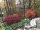 501 Glenwood, Elgin, IL 60120