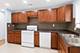 113 Fairview, Streamwood, IL 60107