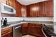 525 W Hawthorne Unit 1007, Chicago, IL 60657