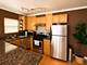 1028 W 20th Unit 1, Chicago, IL 60608