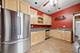 4246 Blanchan, Brookfield, IL 60513