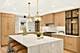 1013 N Delphia, Park Ridge, IL 60068