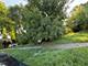 6034 S Carpenter, Chicago, IL 60621