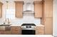 11009 S St Louis, Chicago, IL 60655