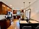 11028 Major, Chicago Ridge, IL 60415