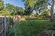 1153 S Fairview, Lombard, IL 60148