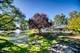 8245 Poplar Unit 5B, Palos Hills, IL 60465