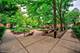 1115 S Plymouth Unit 113, Chicago, IL 60605