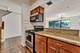 1115 S Plymouth Unit 113, Chicago, IL 60605