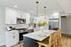 1134 E Paddock, Palatine, IL 60074