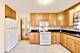 5341 Fair Elms, Western Springs, IL 60558