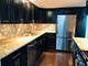 40 E Cedar Unit 11C, Chicago, IL 60611