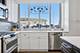 1515 S Prairie Unit 406, Chicago, IL 60605