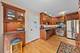1232 N Del Mar, Palatine, IL 60067