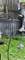 522 Anderson, Geneva, IL 60134