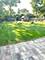 4038 Forest, Downers Grove, IL 60515