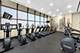 211 E Ohio Unit 1715, Chicago, IL 60611