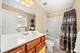 926 Shandrew Unit 926, Naperville, IL 60540