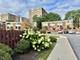 816 S Laflin, Chicago, IL 60607