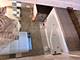 6333 S Carpenter, Chicago, IL 60621
