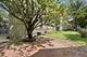 2500 W Walton, Chicago, IL 60622