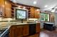 18207 W Big Oaks, Grayslake, IL 60030