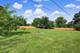 403 Springsouth, Schaumburg, IL 60193