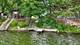 34439 N Hickory, Round Lake, IL 60073