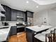 2917 N Damen Unit 3N, Chicago, IL 60618